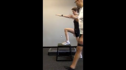 Step up, hip exercise, glute exercise, knee exercise