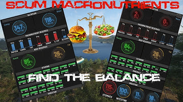 Mastering Macronutrients: How to Balance Protein, Carbs, and Fat!