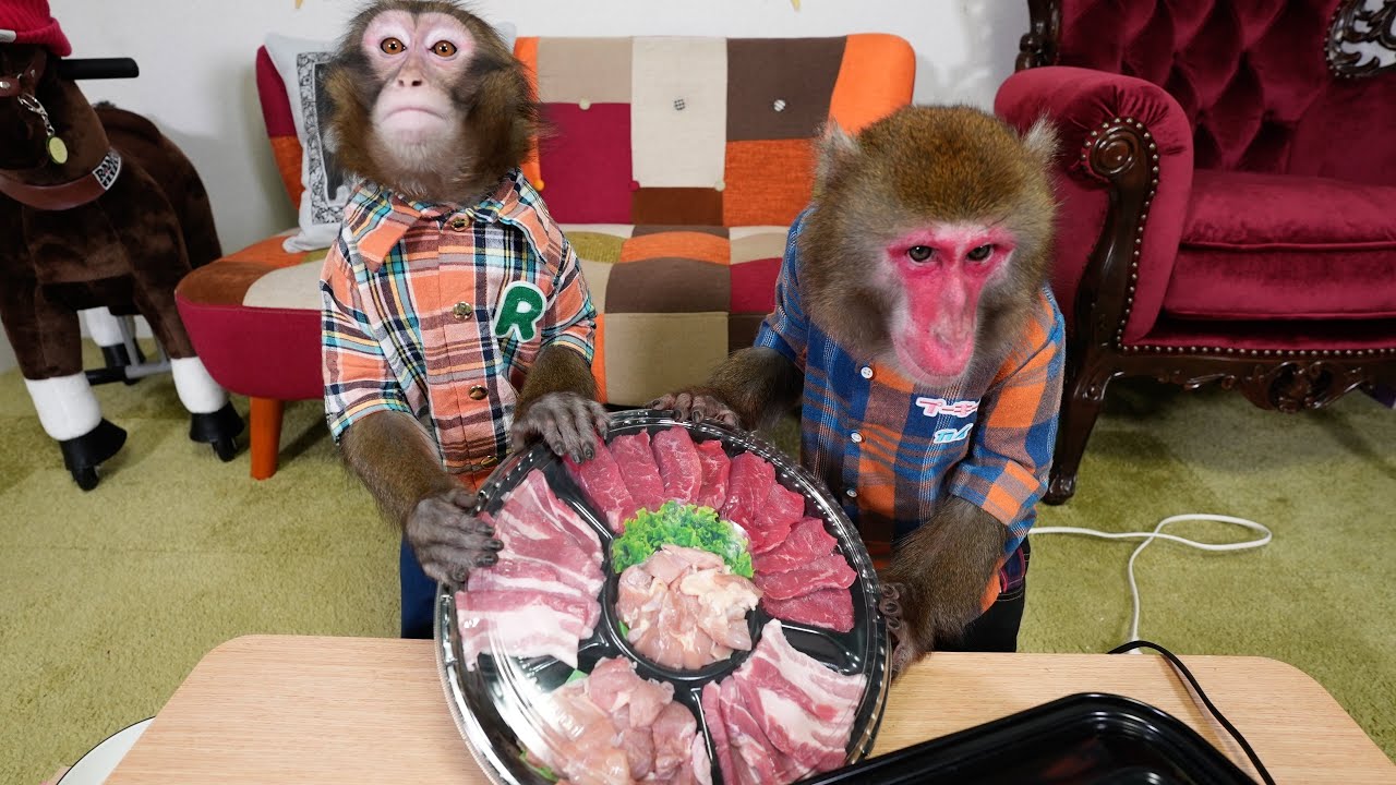 お猿さんに「焼肉」をあげたら…専門家もびっくりな行動に出た！！