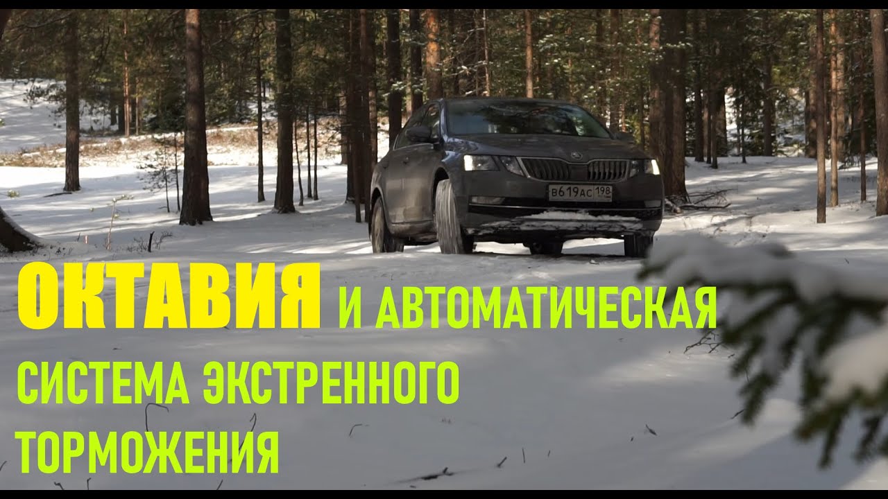 Шкода карок система экстренного торможения