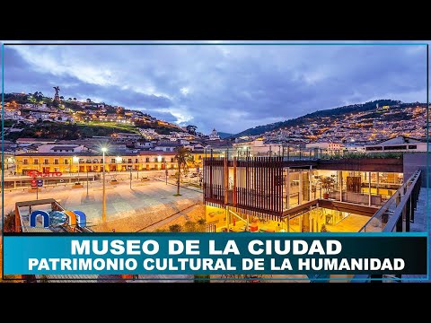 Video: Museo de Cría de Caballos y Museo Biológico. Las calles Timiryazevskaya y M. Gruzinskaya no te dejarán indiferente