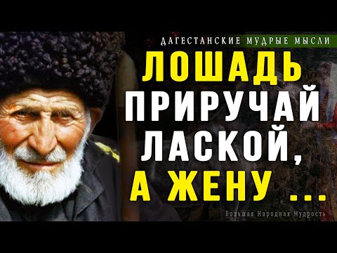 Мудрые и очень Точные Дагестанские пословицы и поговорки | Цитаты, афоризмы, мудрые мысли