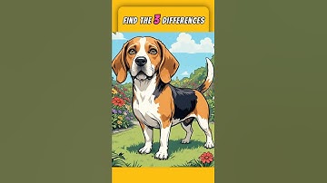 Spot the 3 Differences #86 Only 10% Can Solve This Puzzle! #quiz