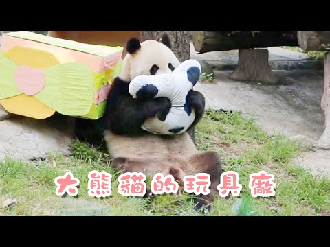 《熊貓主題趴》歡迎來到大熊貓的玩具工廠 | iPanda熊貓頻道