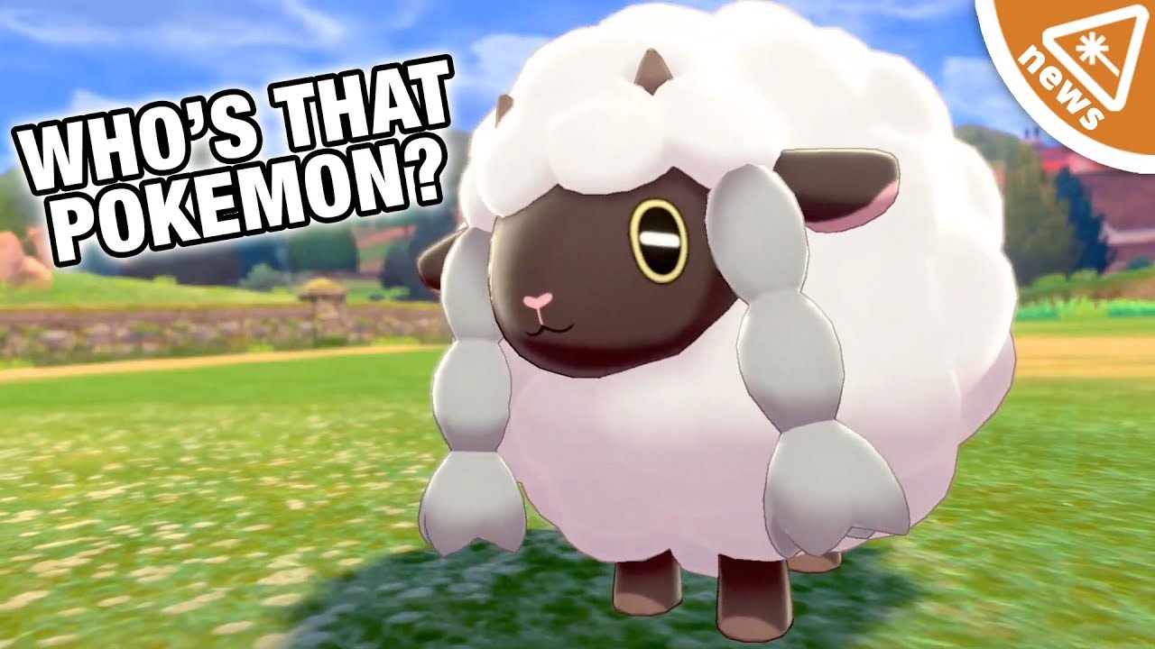 Why Are Pokemon Fans Obsessed With Sword Shield S Wooloo Nerdist News W Amy Vorpahl Youtube