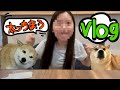神戸旅行準備Vlogでし❗️❗️