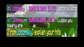 Getting Hackusated By a TOP 1 PLAYER In Minemen Sumo