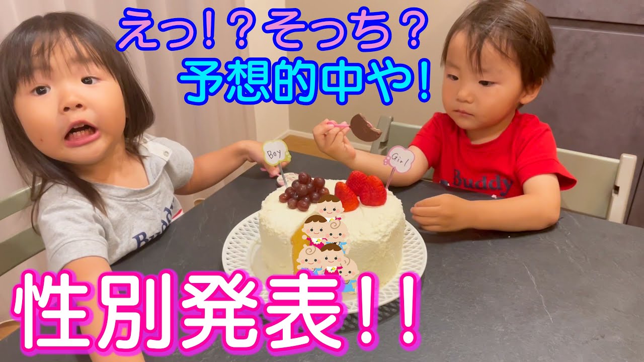 性別発表 ジェンダーリビールケーキでパパと双子にサプライズ報告 Youtube