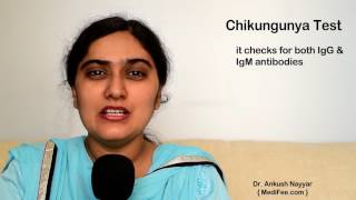 Detecting Chikungunya Virus - Procedure, Tests and Symptoms