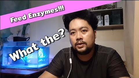 Day 5 - WANT to FORMULATE YOUR OWN FEEDS? |What are these Feed ENZYMES?| Xylanase Protease Phytase 🤯