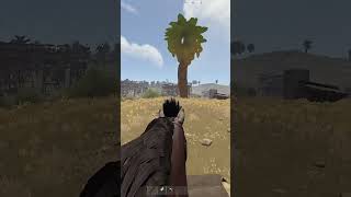 GRIEFED an ENTIRE SERVER with WATCHTOWERS #rustrooster #rust