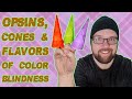 The Cones + Types of Colorblindness