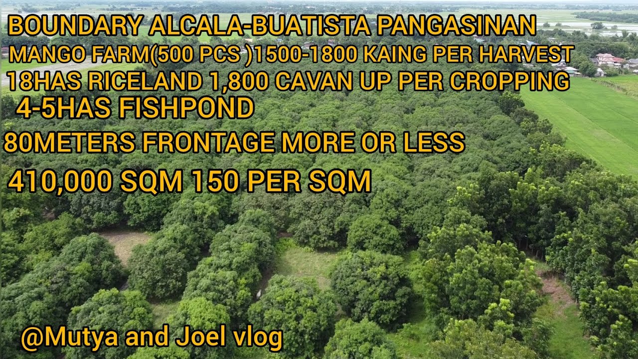 #vlog #94 RESIDENTIAL FARMLOT,MANGO FARM,MAHOGANY,FISHPOND, RICELAND,10 TITLE 150 PER SQM