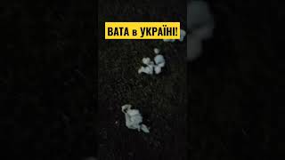 ВАТА В УКРАЇНІ! (з тонким натяком..)