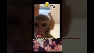 ee twist asal expect chyala super#monkeycomedy#flashmancomedy #funnymoments#funnyshorts #viralshorts Profile