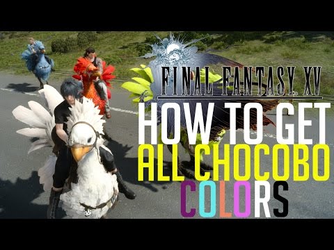 Video: Final Fantasy 15 Chocobos - So Schalten Sie Die Chocobo-Mietquest Frei, Finden Neue Farben Und Fähigkeiten