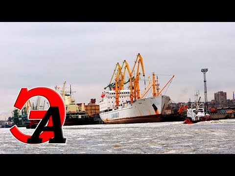 Россия почти достигла рекордного положительного сальдо торгового баланса