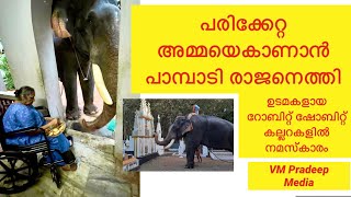 Pampadi Rajan പരിക്കേറ്റ ലീലാമ്മചേച്ചിയെ കാണാൻ എത്തിയപ്പോൾ മദപ്പാടിന്ശേഷം പുറത്തിറങ്ങിയ കാഴ്ചകൾ