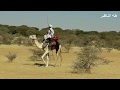 صوت البادية 2