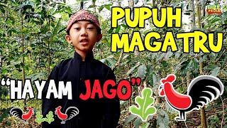 PUPUH MAGATRU HAYAM JAGO || KAKA GIBRAN