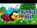 Baby bumble bee  nursery rhymes  kids songs  songs for children by halfticket kids