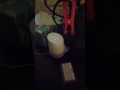 Hey Google, play Mexican beep, beep