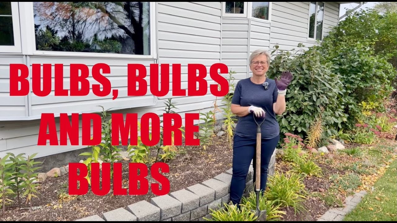 Bulb Spring Ezone Zone 3: Planting fall bulbs for spring blooms - YouTube