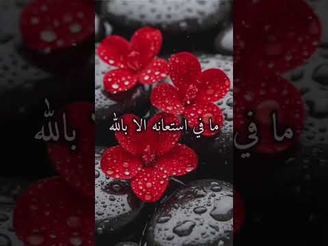 اللهم لك الحمد ولك الشكر يا رب يارب