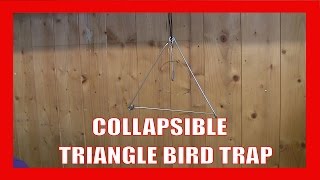 Collapsible Triangle Bird Trap