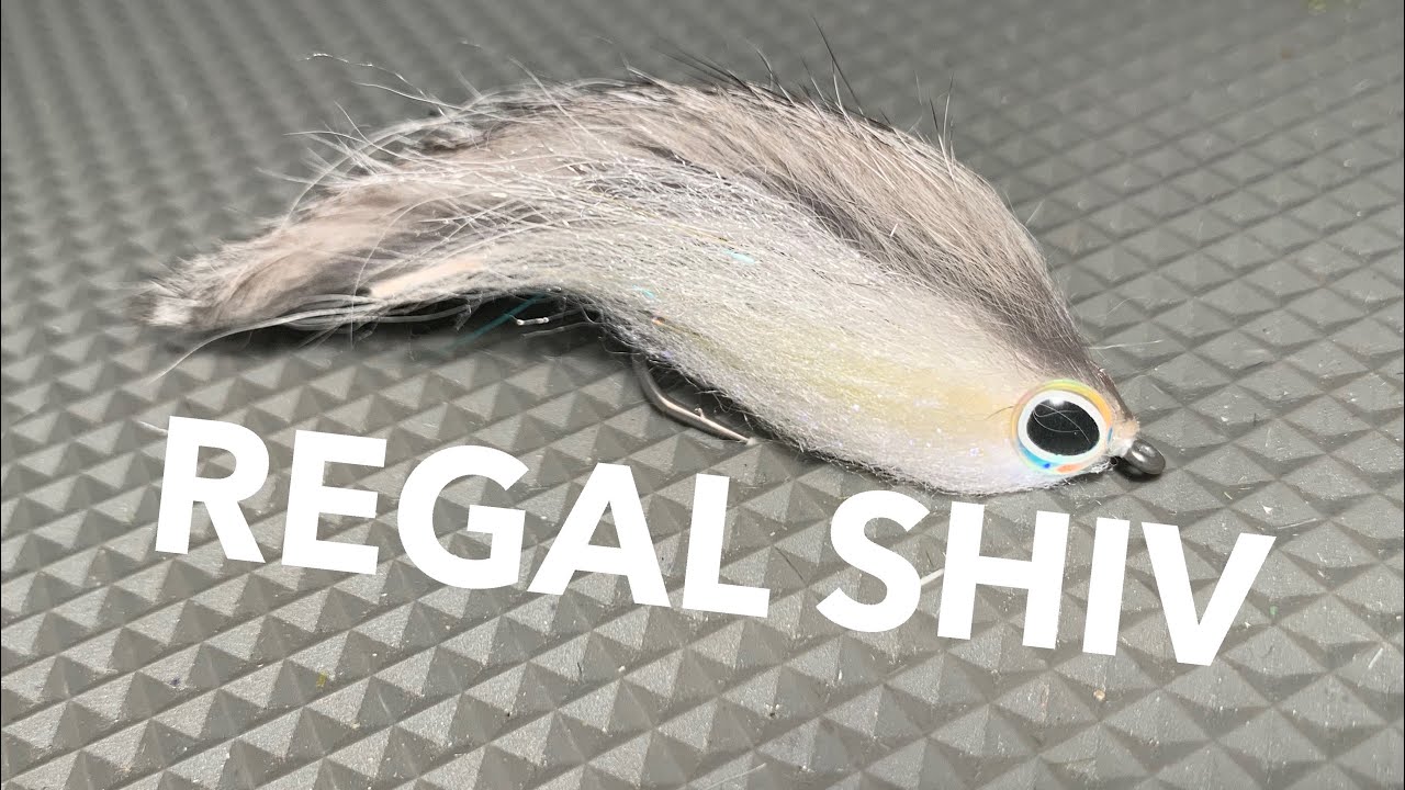 REGAL SHIV - A Very Easy Smallmouth Minnow Fly !