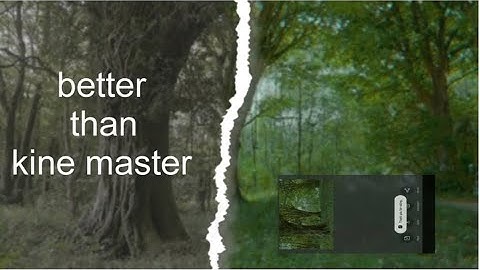 best mobile app for cinematic colour grading/pro tricks mobile video colour grading app //koloro