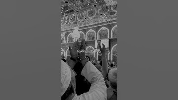 قرآن كريم القارئ عامر الكاظمي