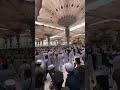 Nahi Hai Koi Duniya Main 🥺#shorts #islamicvideo #trending #shorts #fyp #madinah #share