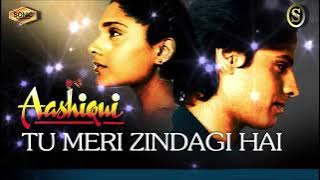 Tu Meri Zindagi Hai ( SONIC Jhankar )