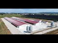 Centro di alta qualità per l'allevamento di broilers (VR)
