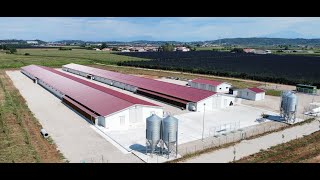 Centro di alta qualità per l&#39;allevamento di broilers (VR)