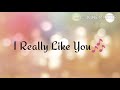 I Really Like You Cover By Celeina Ann (Lyrical Video)