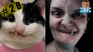 смешные ВИДЕО ПРИКОЛЫ 2024 ЧУДИКИ tiktok  Funny videos №28 тест на психику, попробуй не засмеяться