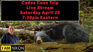Cades Cove Photography Trip April 2025 | Visitors Guide