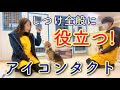 犬のしつけに超重要なアイコンタクト教え方【№210】