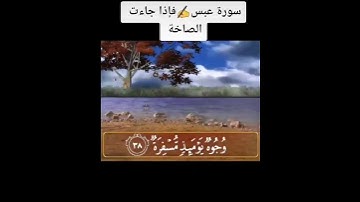 سورة عبس - فإذا جاءت الصاخة بصوت القارئ رعد الكردي
