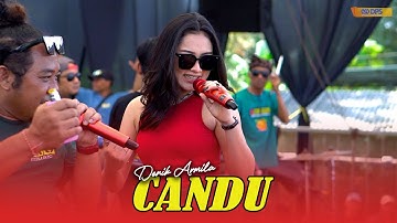 CANDU - DENIK ARMILA || ONE PRO ( Live Pemuda Kedungringin - Bangorejo )