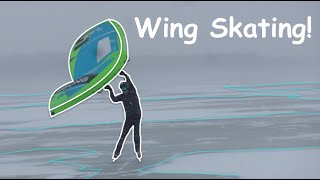 Wing Skating On Frozen Lake