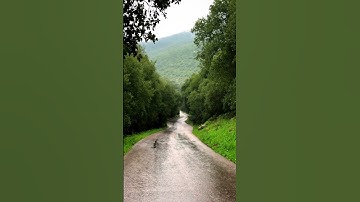 الشيخ ماهر المعيقلي #كرومات #قرآن #سورة