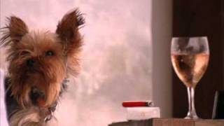 Schanfigger Peasants Wedding Schanfigger Bauernhochzeit By Hannes Meyer Played By Markus Kühnis