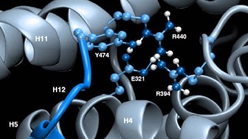 ANIMACIÓN FARMACIA.wmv