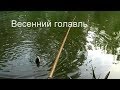 Весенний голавль  Май 2012г