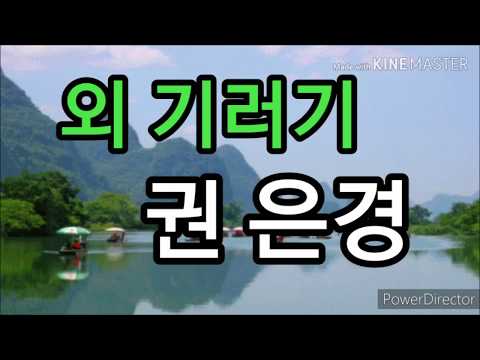 외 기러기 가사 / 권 은경