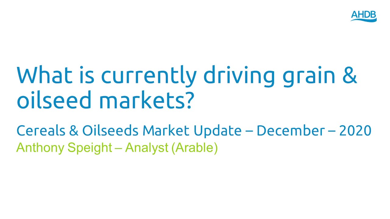 What is currently driving grain & oilseed markets? - Cereals & Oilseeds Market Update–December–2020
