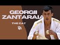 Georgii zantaraia  the cat  judo compilation